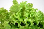 Mixed Greens: Different Views of Corporate Sustainability