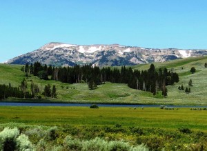 EHS Journal - Yellowstone National Park 2 by Michael Bittner